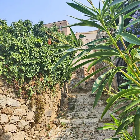 Casa Di Mirlo, Maison De Village A Corbara