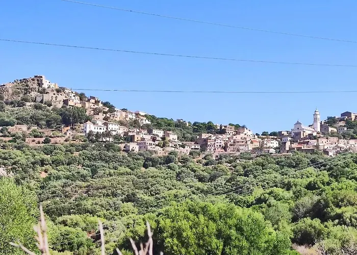 Villa Casa Di Mirlo, Maison De Village A