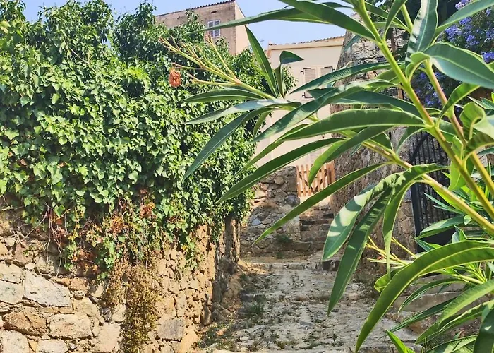 Casa Di Mirlo, Maison De Village A Corbara